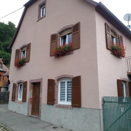 Apartmán cheznousenalsace Lautenbach Exteriér fotografie